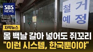 자막 프랜차이즈