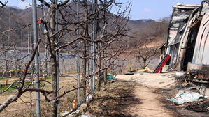 '산불 사태' 국민 성금 1천124억 원&hellip;역대 재난구호금 최대 규모