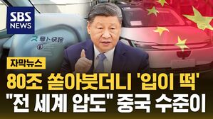 [자막뉴스] 80조 쏟아붓더니 '입이 떡'&hellip;"전 세계 압도" 중국 수준이