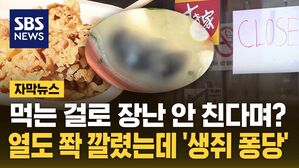 [자막뉴스] 일본은 먹는 걸로 장난 안 친다며?&hellip;쫙 깔렸는데 '생쥐 퐁당'