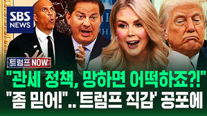 [영상] "실패하면 어쩔 겁니까?!" 관세 발표 하루 전 미국도 '대혼돈'&hellip;"트럼프 직감 믿어라"? 기자들 '꼬리 질문'에