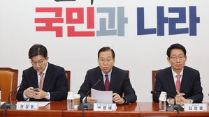 권영세 "대통령 직무복귀 결정 시 개헌 추진"