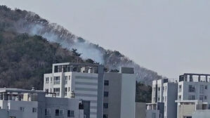 [영상] 경기 용인 성복동서 산불&hellip;47분 만에 완진