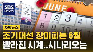 [자막뉴스] 조기 대선 장미 피는 6월 3일 유력&hellip;대선 시나리오는?