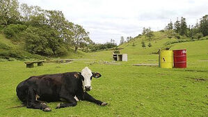 호주 외딴섬 노퍽 아일랜드(사진=AP, 연합뉴스)