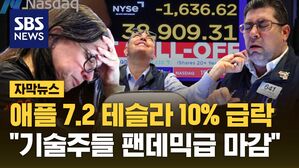 [자막뉴스] "무역 전쟁 시작됐다" 뉴욕 대형 기술주 '코로나' 팬데믹급 하락