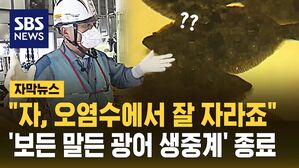 [자막뉴스] 도쿄전력, 아무도 안보던 '오염수 사육 시험' 생중계 "3월로 종료"