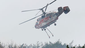 강원 고성 비무장지대 산불 4시간 50여 분 만에 진화