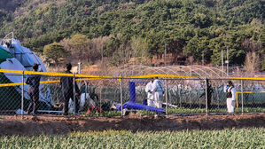11일 만에 또&hellip;대구 산불현장서 헬기 추락해 조종사 사망
