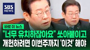 [바로이뉴스] 이재명 "국민의힘, 개헌으로 적당히 넘어가? 지금은 내란 종식이 먼저"