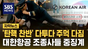 [자막뉴스] '탄핵 찬반' 놓고 주먹다짐&hellip;대한항공 기장-부기장 2인 면직 중징계