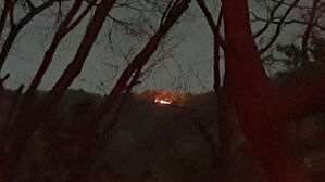 경기 남양주에서 산불&hellip;산림당국 3시간째 진화 중