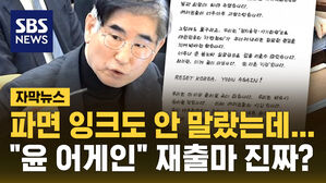 [자막뉴스] "윤 어게인, 재출마"&hellip;파면 잉크도 안 말랐는데 '황당 옥중서신'