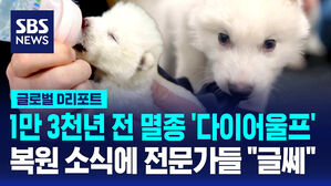 [글로벌D리포트] "1만 3천년 전 멸종 동물 복원"&hellip;전문가들은 "글쎄"