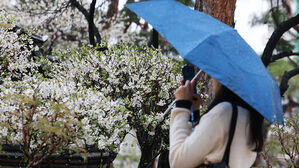 [날씨] 늦은 오후부터 전국에 황사비&hellip;수도권 미세먼지 '나쁨'