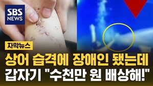자막 상어 습격