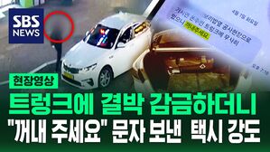 [영상] "손 머리 위로 들어!" 강도로 돌변한 손님, 희한한 택시 강도 사건의 전말