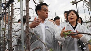 과수 개화기 생육상황 점검(사진=연합뉴스)