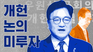 스프 개헌