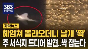 [자막뉴스] 온 국민 공포 떨게 한 '다닥다닥'&hellip;이번엔 효과 있을까?
