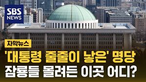 자막 대선 키워드