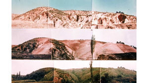 유네스코 세계기록유산 등재된 한국 산림녹화기록, 개도국 녹화모델