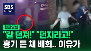 [영상] "28㎝ 흉기 들고 쫓아와요!" 공공장소 흉기소지죄 시행 직후 검거 현장 보니