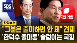 [자막뉴스] "권한대행 역할 잘 수행해야지"&hellip;'한덕수 차출론'에 견제 날린 김문수