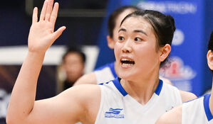 여자농구 FA 시장 종료&hellip;우리은행 이명관 재계약
