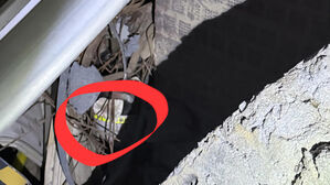 "살려주세요" 떨던 20대&hellip;구조대원이 건넨 '초코우유'