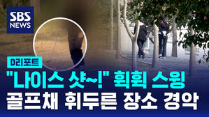 [D리포트] 유적 공원서 '휙휙' 골프 연습&hellip;골프공 날아가 '위협'