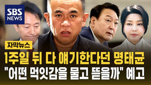 [자막뉴스] "어떤 먹잇감을 먼저 물고 뜯을까" 명태균 폭로전 예고&hellip;"1주일 뒤 입장 밝힌다더니"