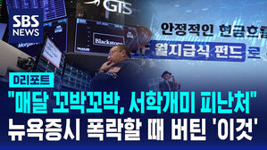 [D리포트] "서학개미 힘들어 선택했는데"&hellip;뉴욕증시 폭락할 때 버틴 '이것'은?