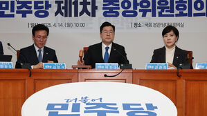 민주당 중앙위, '대선 특별당규' 등 안건 상정(사진=연합뉴스)