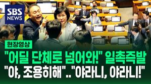[현장영상] "어딜 단체로 넘어와!" 폭발&hellip;"야, 조용히해" "야라니!" 고성 터진 국회 대정부질문