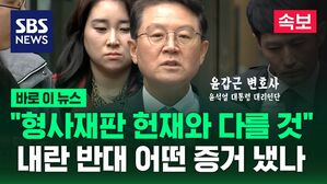 [바로이뉴스] "형사 재판에서 헌재와 다른 판단 기대"...'내란 반대' 증거들은