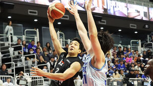 허훈 '슛'(사진=연합뉴스)