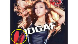 일본 걸그룹, 故구하라 사진에 관짝 합성…악의적 마케팅 논란