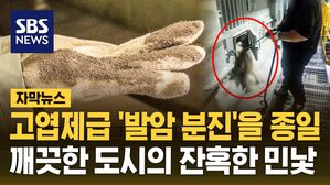 [자막뉴스] 고엽제급 '발암 분진'을 종일&hellip;깨끗한 도시의 잔혹한 민낯