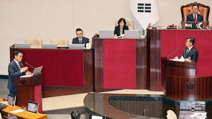 대정부 질문 나선 민주당 안도걸 "무늬만, 뒷북 추경"