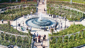 고양국제꽃박람회 25일 개막&hellip;"1억 송이 꽃 향연 펼쳐진다"