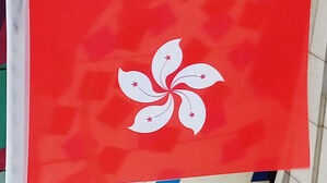 홍콩, 내년부터 담배 19개비 이상 소지 입국자에 벌금 100만 원