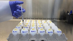 경기도 전역에 저병원성 조류인플루엔자 발생 주의보 발령