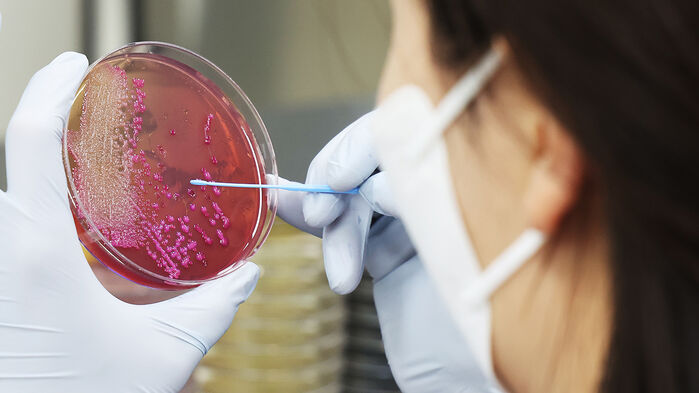 식중독균 배양분리작업 자료화면