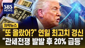 [자막뉴스] '사상 최고가' 연일 깨고 급등&hellip;언제까지 오르나? 관건은 '이것'