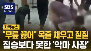 [자막뉴스] "무릎 꿇어" 목줄 채우고 질질&hellip;짐승보다 못한 '악마 사장'