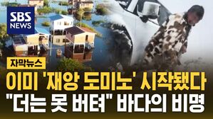 [자막뉴스] 이미 '재앙 도미노' 시작됐다&hellip;"더는 못 버텨" 바다의 비명