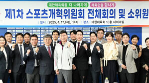 전체 회의 가진 대한체육회 스포츠개혁위원회(사진=대한체육회 제공, 연합뉴스)