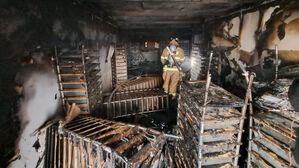 고양시 도마뱀 사육장서 불&hellip;900마리 폐사