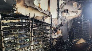 고양 도마뱀 사육장서 불&hellip;900마리 폐사